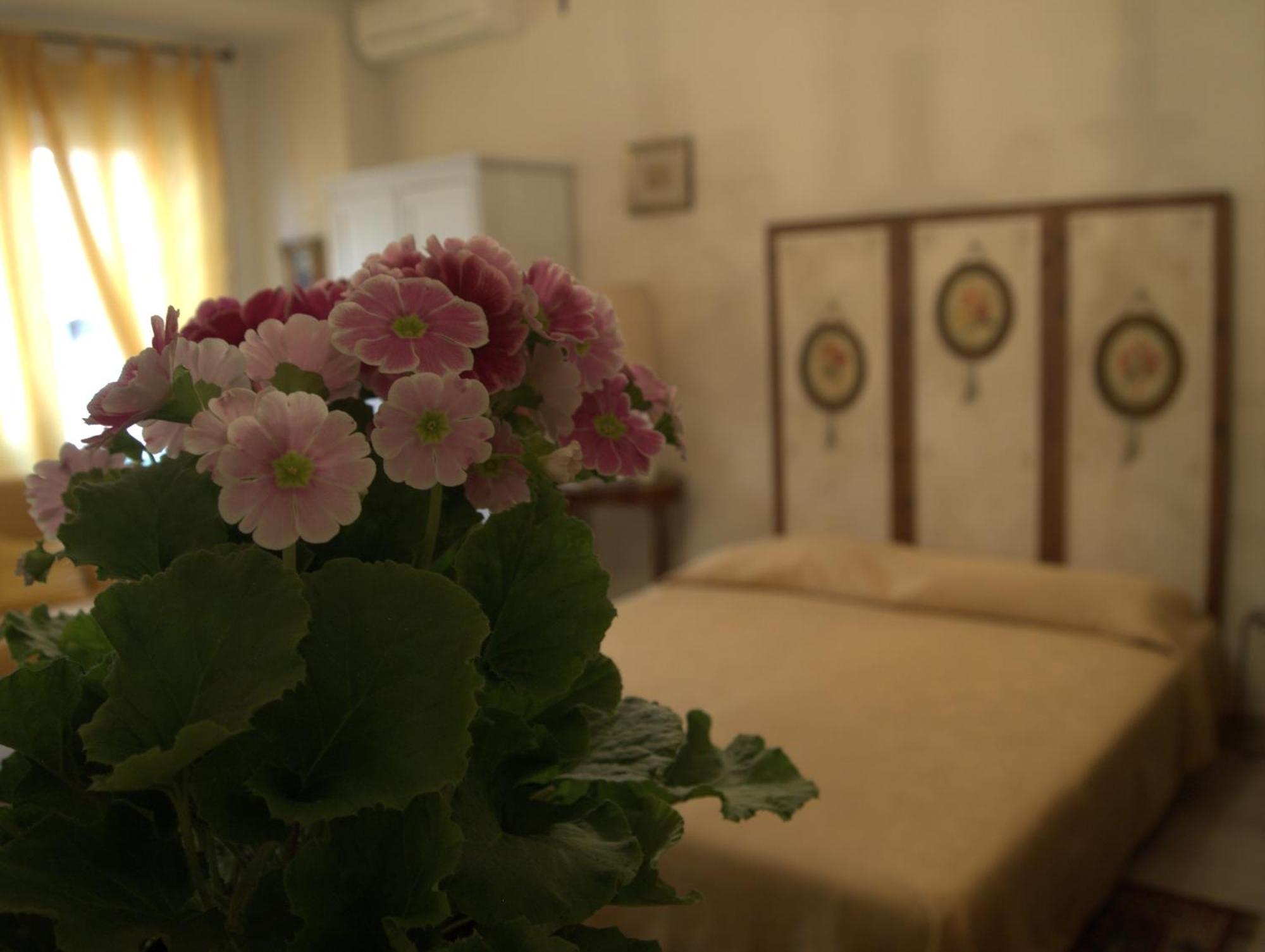 B&B All'Ombra Di San Pietro Rome Exterior photo